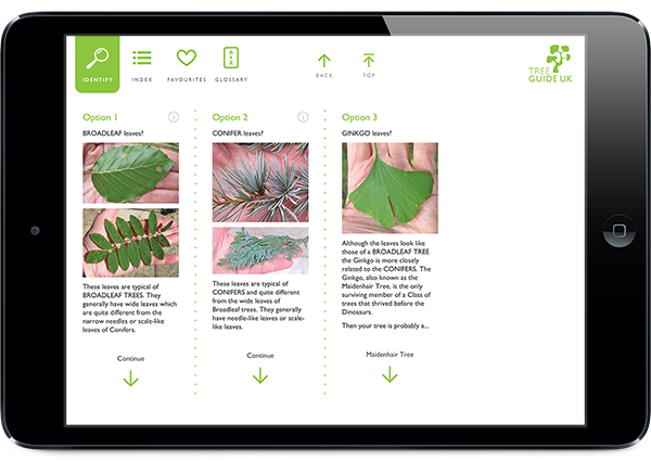 Screenshot of Tree Guide UK