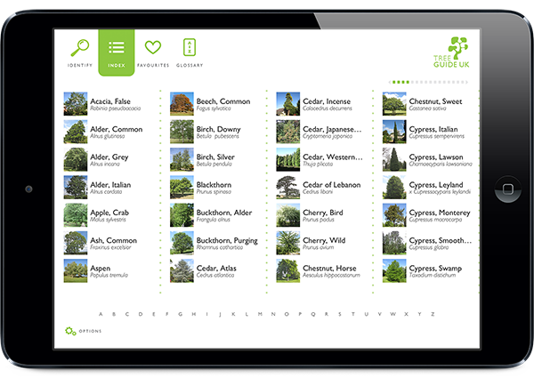 Screenshot of Tree Guide UK