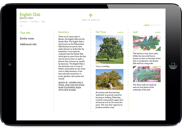 Screenshot of Tree Guide UK