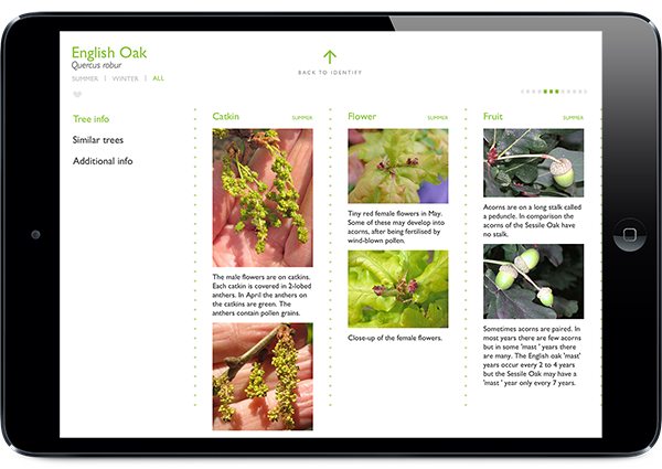 Screenshot of Tree Guide UK