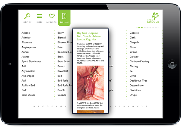 Screenshot of Tree Guide UK